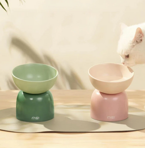 Sugar Bean Ceramic Double Pet Bowls For Cat and Small Dogs