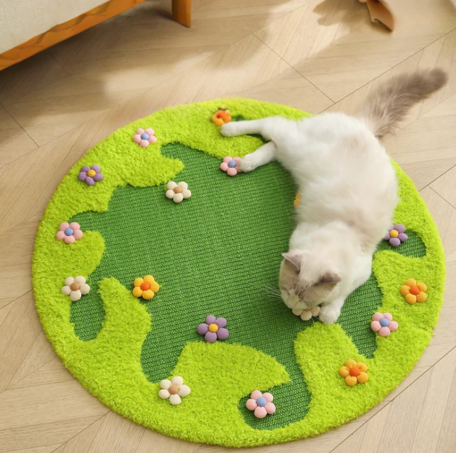 Cat Scratcher