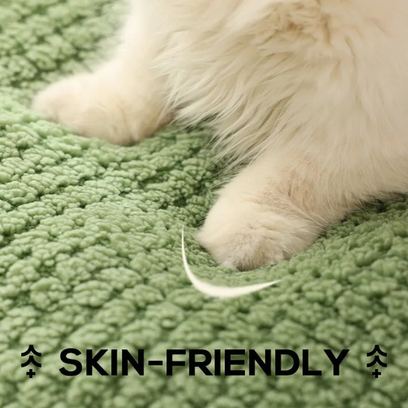 Cute Frog Dog Bed | Soft Plush Warm Pet Sofa