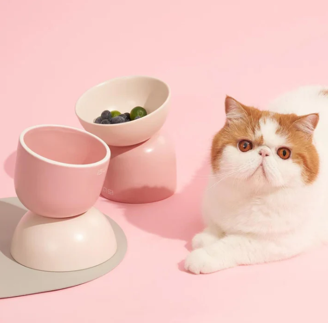 Sugar Bean Ceramic Double Pet Bowls For Cat and Small Dogs